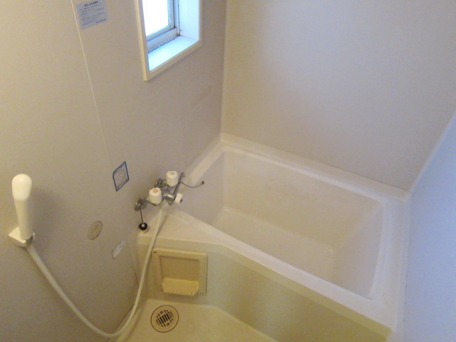 Bath. It is a small window with the bath