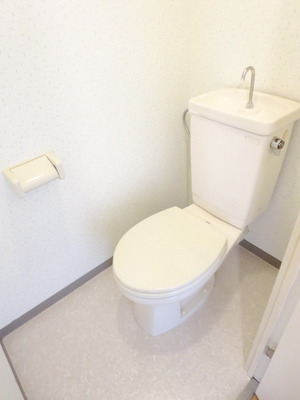 Toilet. Toilet