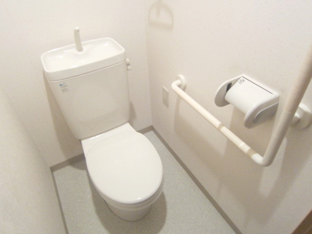 Toilet. It is a beautiful toilet