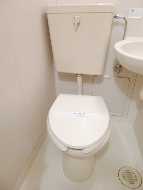Toilet. Toilet