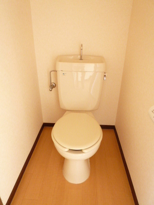 Toilet. A comfortable life with a clean toilet