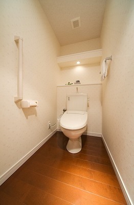 Toilet. Toilet
