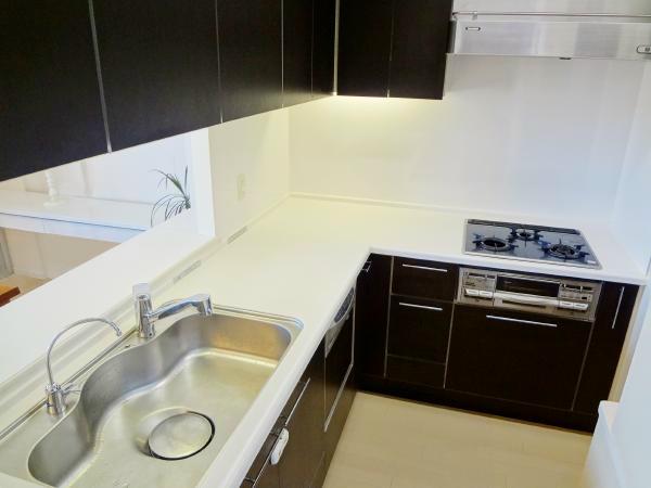 Kitchen. L-shaped kitchen