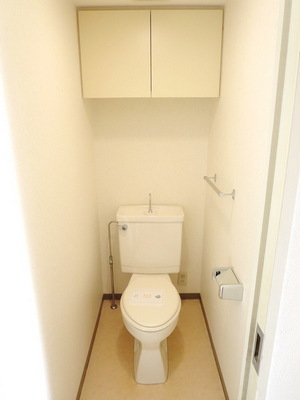 Toilet. Toilet with cleanliness