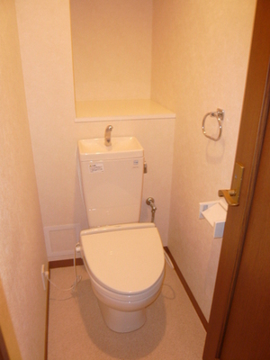 Toilet. Loose wide toilet space, There is also a shelf behind!