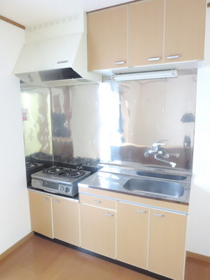 Kitchen. Two-burner gas stove with kitchen