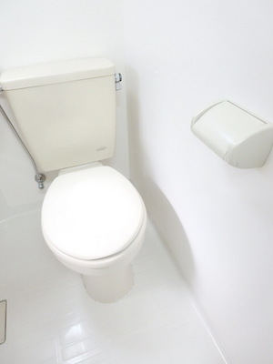 Toilet. Clean toilet