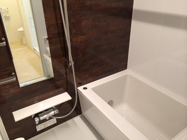 Bathroom. Indoor (12 May 2013) Shooting