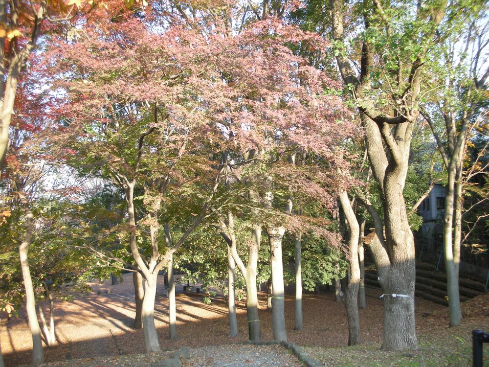 Other. Mansion of the park