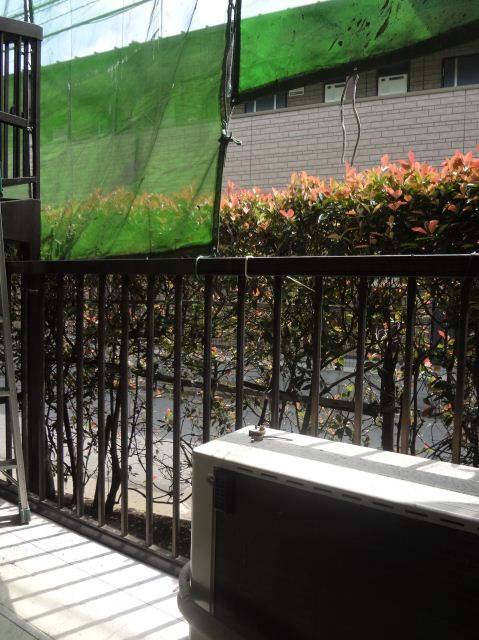 Balcony. Safe veranda because there is Ueki