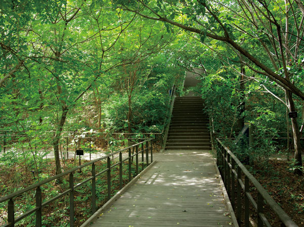 Surrounding environment. Municipal Akabane nature park (about 1360m / 17 minutes walk)
