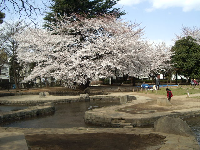 park. 736m until Itabashi Peace Park (Park)