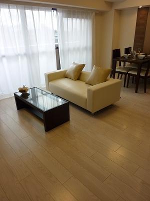 Living. Indoor (12 May 2013) Shooting