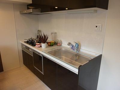 Kitchen. Indoor (12 May 2013) Shooting