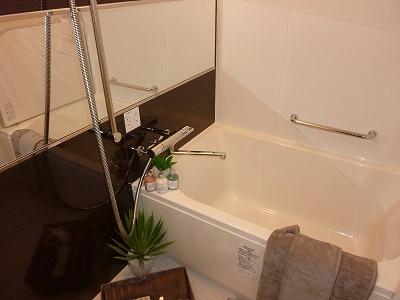 Bathroom. Indoor (12 May 2013) Shooting