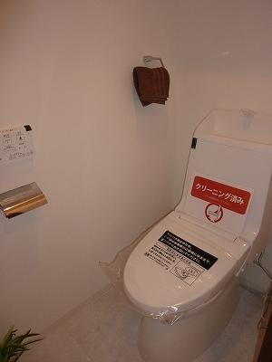 Toilet. Indoor (12 May 2013) Shooting