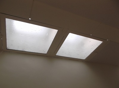 Other. Skylight