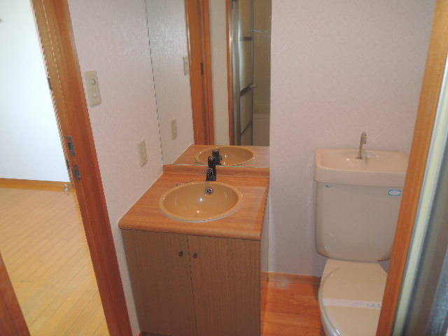 Washroom. Stylish wash basin