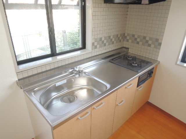 Kitchen. Two-burner gas stove with grill