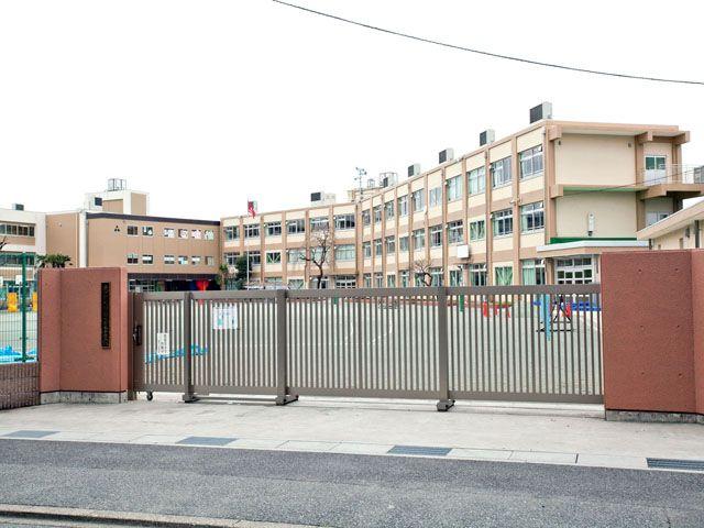 Primary school. 430m until the young trees elementary school
