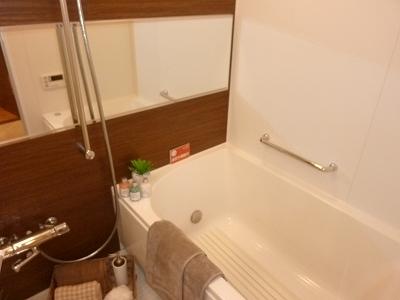 Bathroom. Indoor (12 May 2013) Shooting