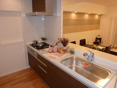 Kitchen. Indoor (12 May 2013) Shooting