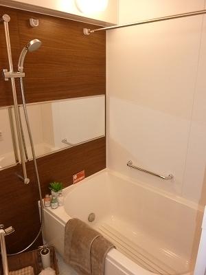 Bathroom. Indoor (12 May 2013) Shooting