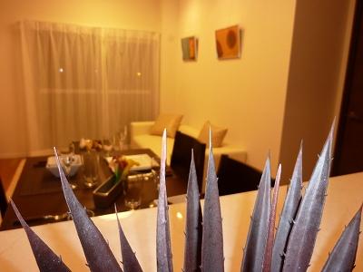 Living. Indoor (12 May 2013) Shooting