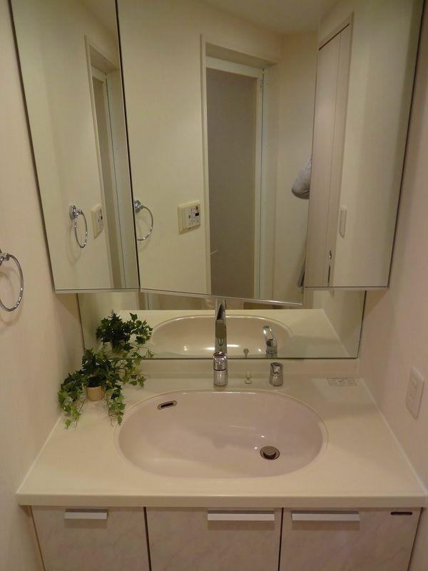 Wash basin, toilet. Entrance