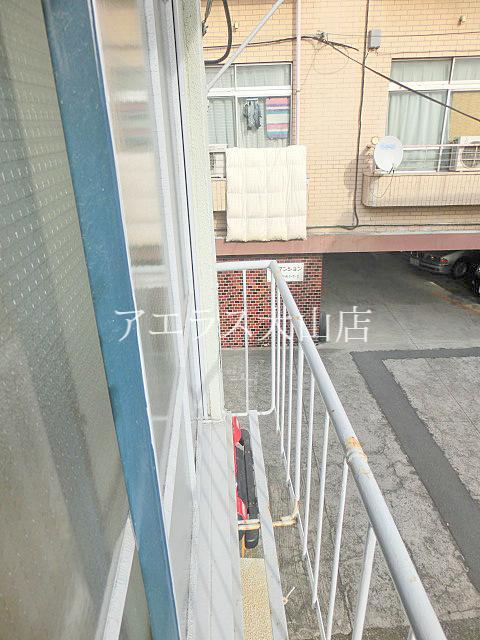 Balcony. Flower box