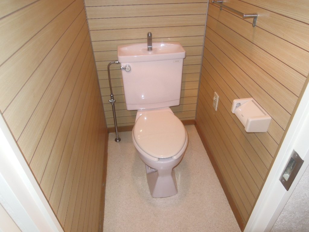 Toilet. (See photo)