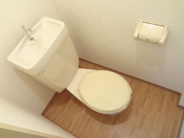 Toilet. Bathing Restroom