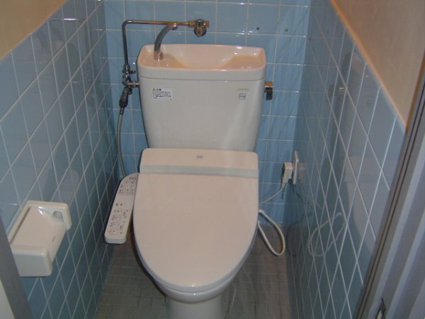 Other. Toilet