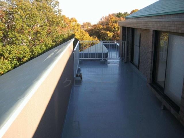 View photos from the dwelling unit. roof balcony