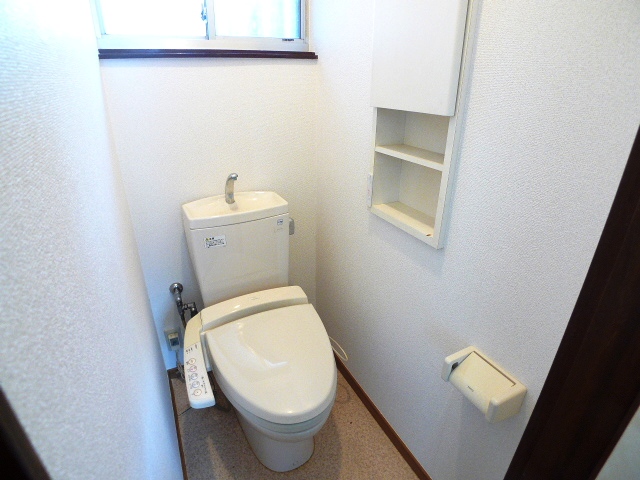 Toilet. Bidet There is housed in a toilet in the bathroom new convenient