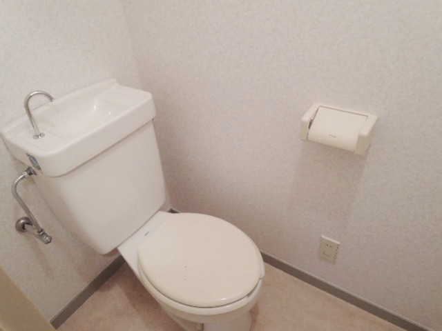 Toilet. Toilet