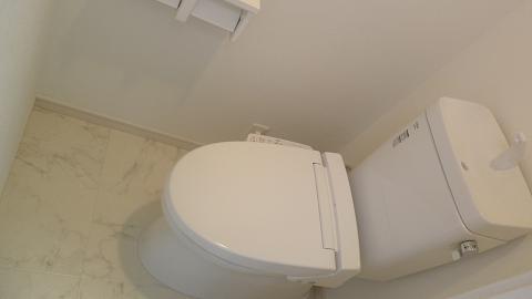 Toilet. Indoor (12 May 2013) Shooting