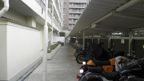 Other. Bicycle parking (12 May 2013) Shooting