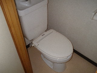 Toilet. It is a toilet with a clean!