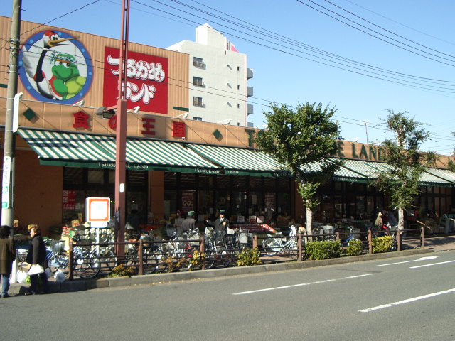 Supermarket. Tsurukame land Takashimadaira store up to (super) 481m