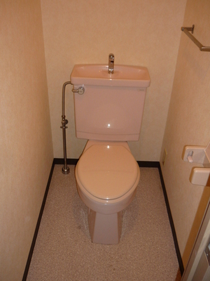 Toilet. Toilet