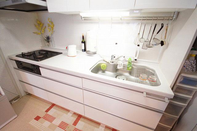 Kitchen. Indoor (10 May 2013) Shooting