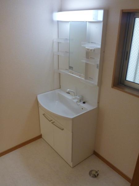 Wash basin, toilet. Shower basin