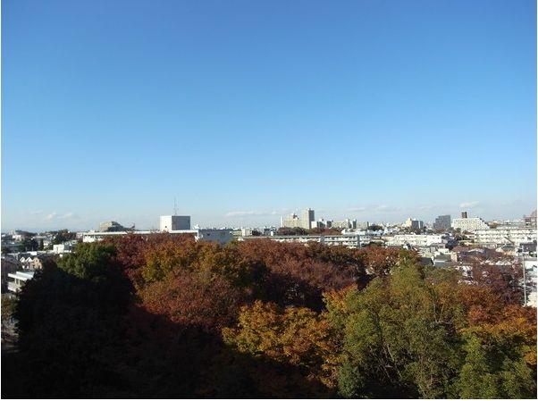 View photos from the dwelling unit. View from the balcony