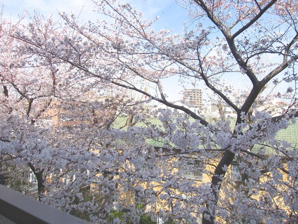 View photos from the dwelling unit. View (Spring)