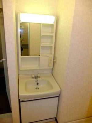 Washroom. Bathroom vanity