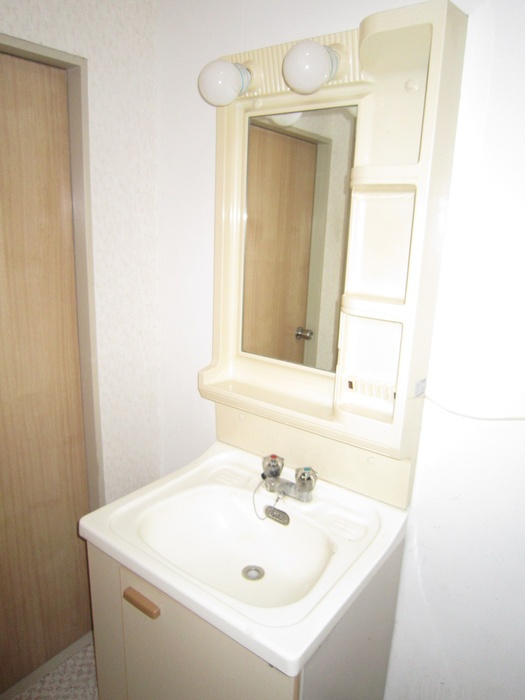 Washroom. With vanity