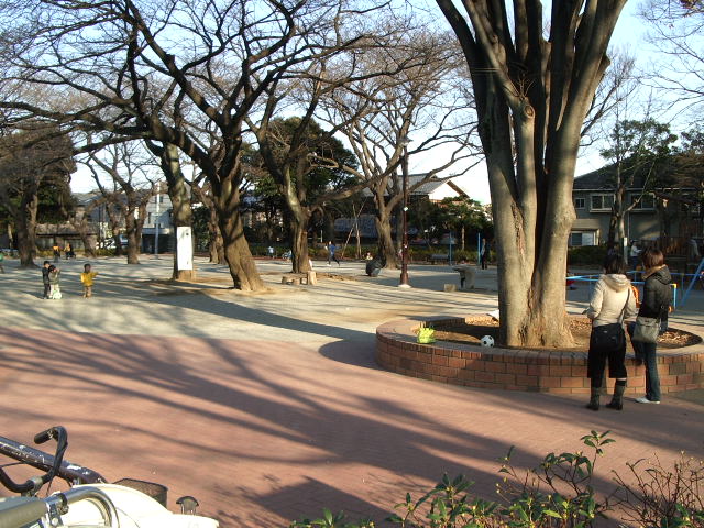 park. 609m until Tokiwadai park (park)