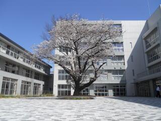 Junior high school. 479m to Itabashi Itabashi third junior high school