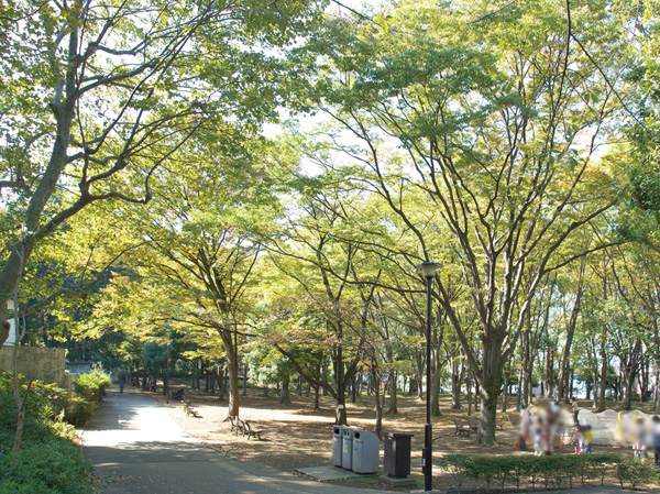 Surrounding environment. Johoku Central Park (11 minutes' walk, About 880m) ※ The time required is calculated as 1 minute 80m in the approximate distance on the map from the local, Fraction is rounded up.